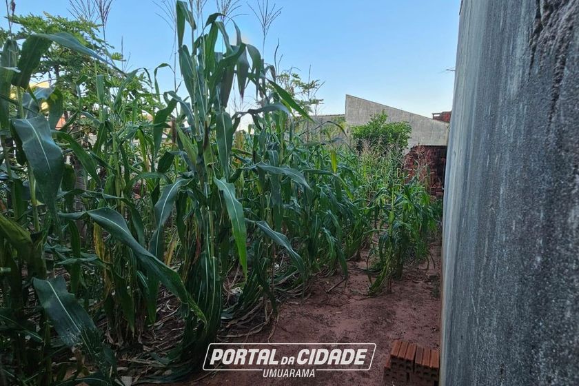 Terreno &agrave; venda - 144m&sup2; - Jardim Tropical