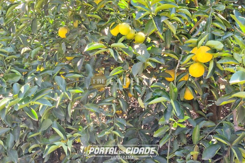 Ch&aacute;cara &agrave; venda - 369m&sup2; - Jardim T&oacute;quio