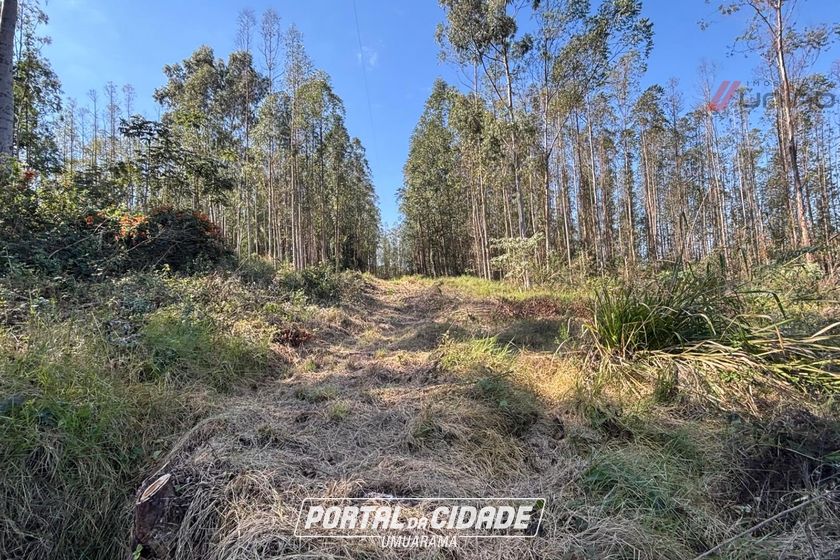 Fazenda &agrave; venda - 27383m&sup2; - Zona Rural