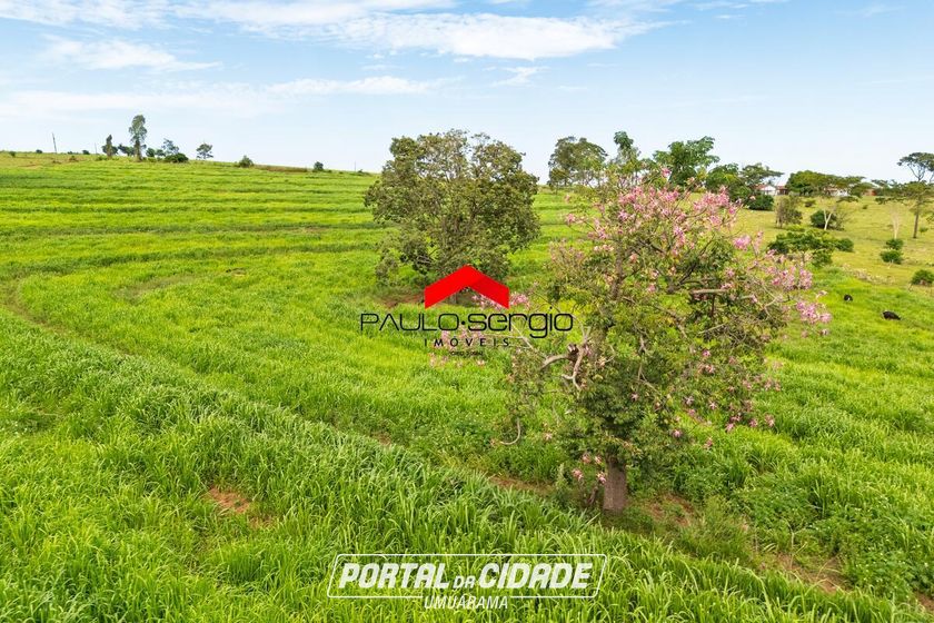Ch&aacute;cara &agrave; venda - Saida para Guaira