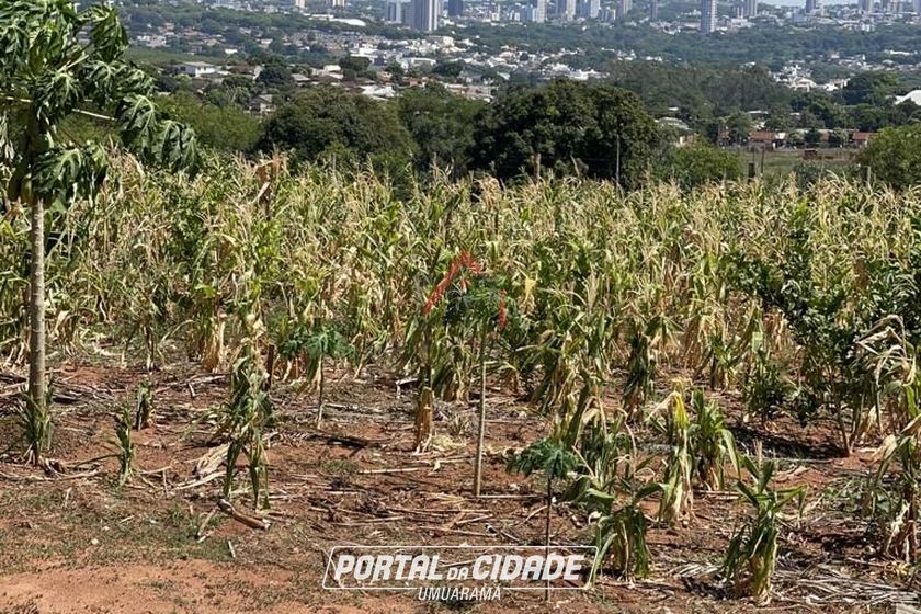 Ch&aacute;cara &agrave; venda - 20000m&sup2; - Jardim Aeroporto