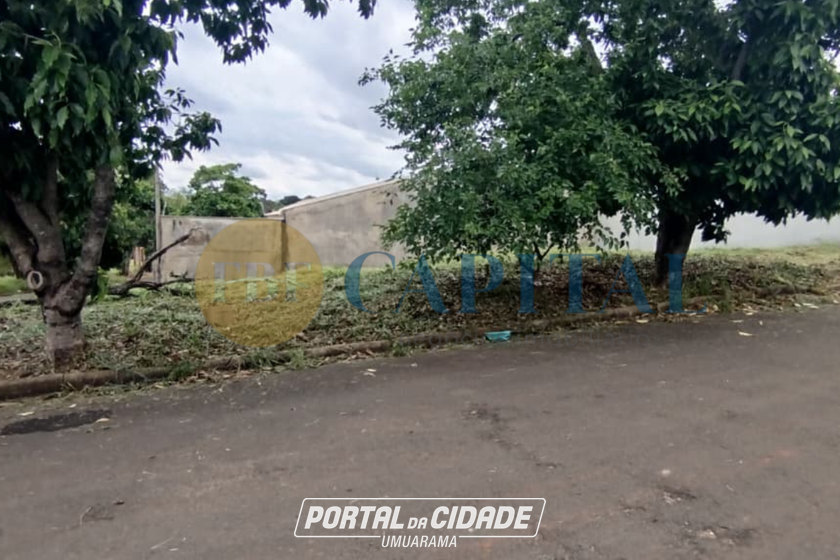 Terreno &agrave; venda - 249m&sup2; - Jardim dos Pass&aacute;ros