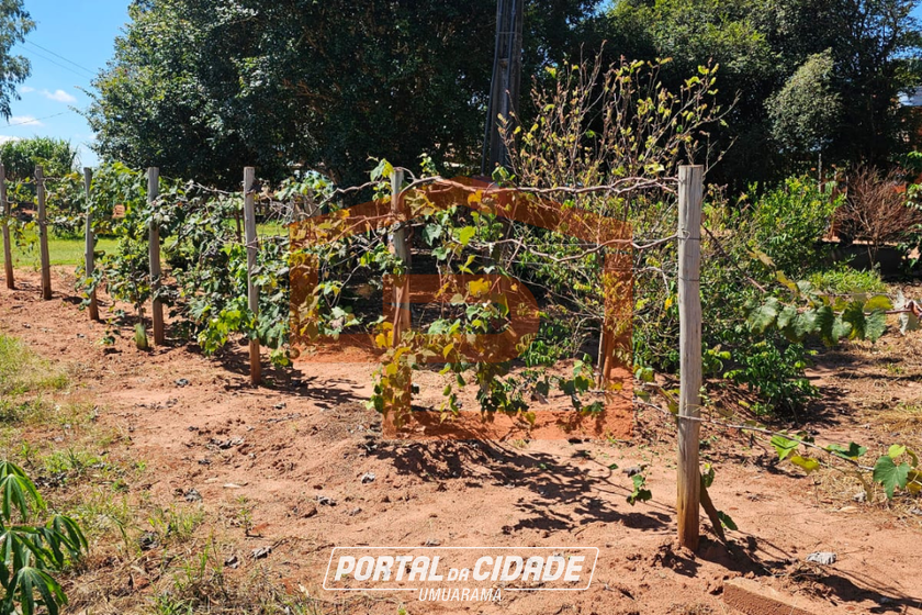 Ch&aacute;cara &agrave; venda - 21000m&sup2; - Zona Rural