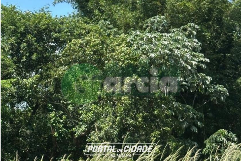 Terreno &agrave; venda - 5878m&sup2; - GLEBA 07 - RIO DA AREIA