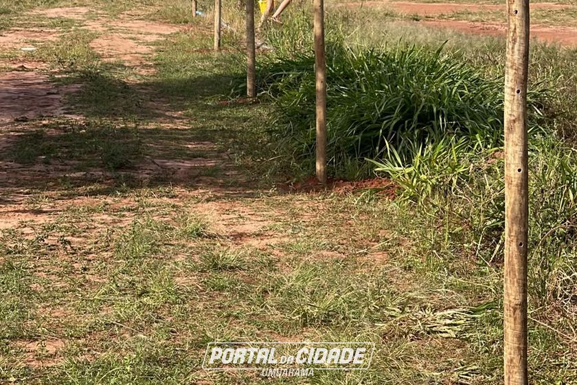 Ch&aacute;cara &agrave; venda - Rod. Henio Romagnoli
