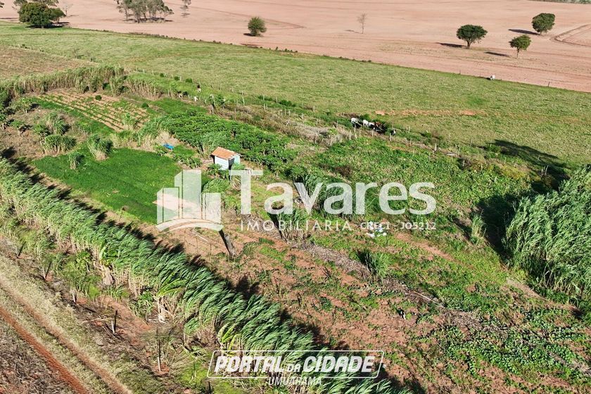 Ch&aacute;cara &agrave; venda - 48400m&sup2; - Santa Eliza