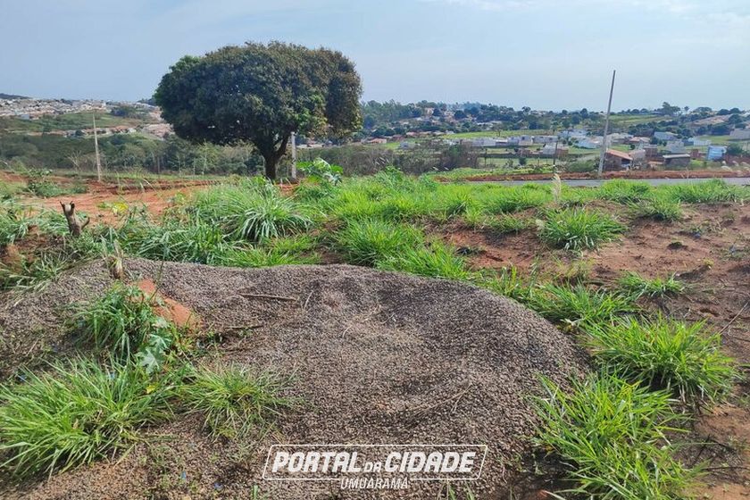 Terreno &agrave; venda - 214m&sup2; - JARDIM AEROPORTO