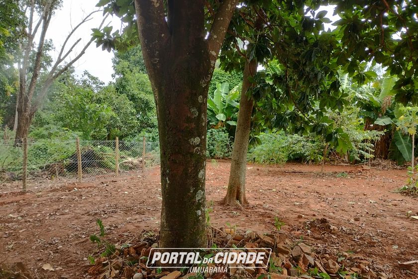 Ch&aacute;cara &agrave; venda - 1800m&sup2; - Saltinho do Oeste