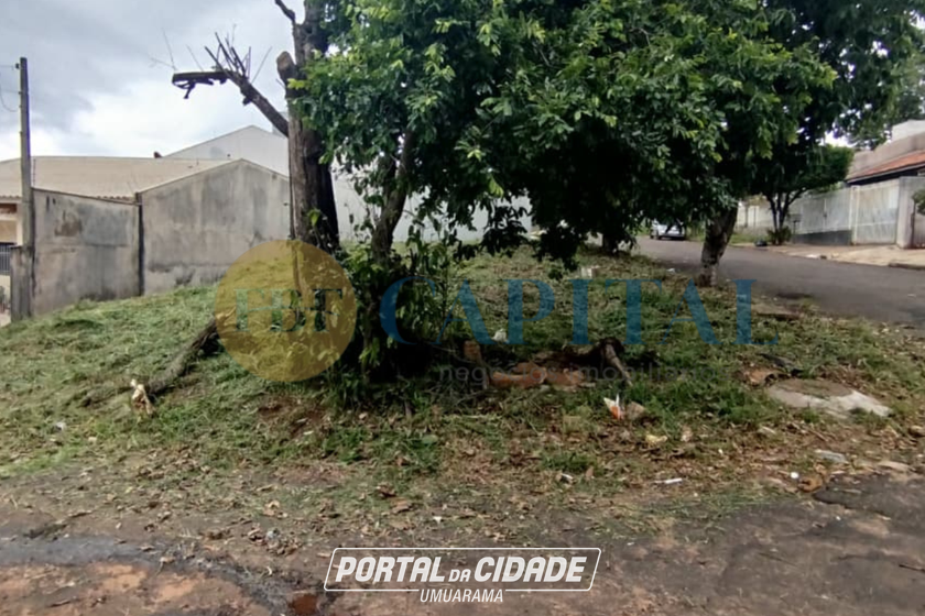 Terreno &agrave; venda - 249m&sup2; - Jardim dos Pass&aacute;ros