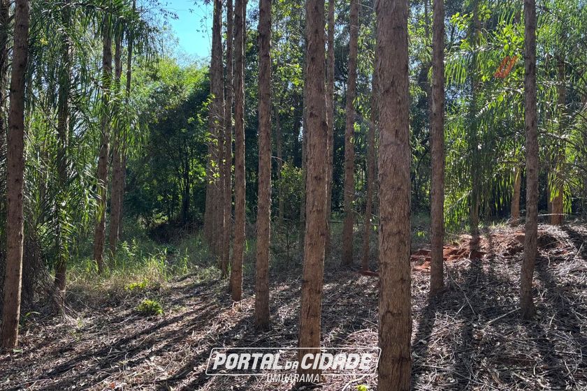 Fazenda &agrave; venda - 27383m&sup2; - Zona Rural