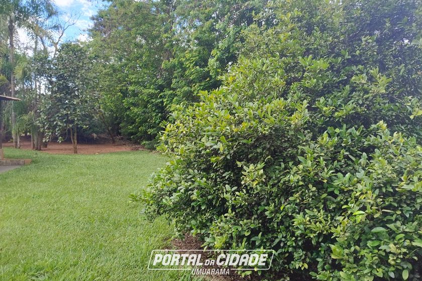 Ch&aacute;cara &agrave; venda - 6400m&sup2; - FUNDOS DO JARDIM PAC&Iacute;FICO