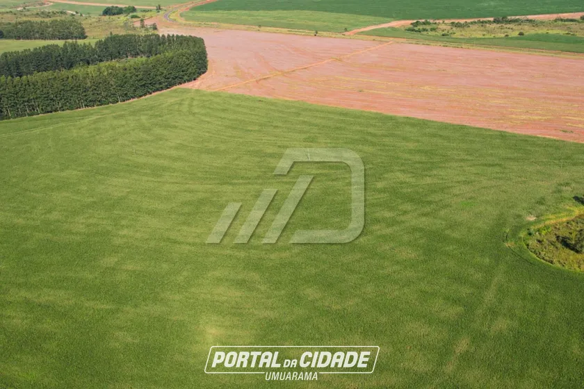 Fazenda &agrave; venda - 72m&sup2; - PR-468