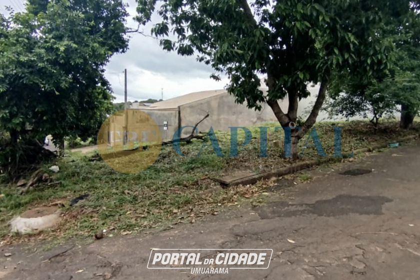 Terreno &agrave; venda - 249m&sup2; - Jardim dos Pass&aacute;ros