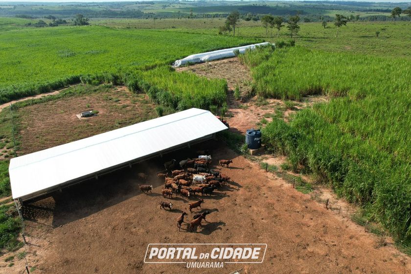 S&iacute;tio &agrave; venda - 500000m&sup2; - Canindeyu