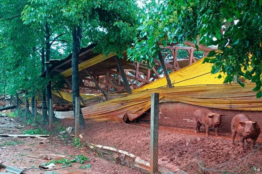 Chiqueirão é destruído por temporal no interior; prejuízo é estimado em R$ 1,5 milhão