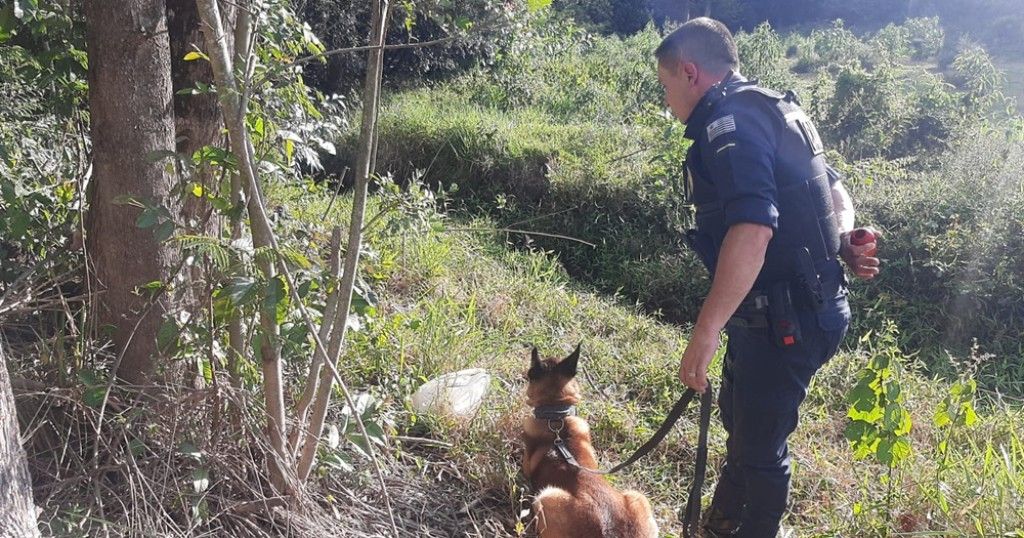 Guarda Civil Municipal de Atibaia: A CASA CAIU! - Atibaia Hoje