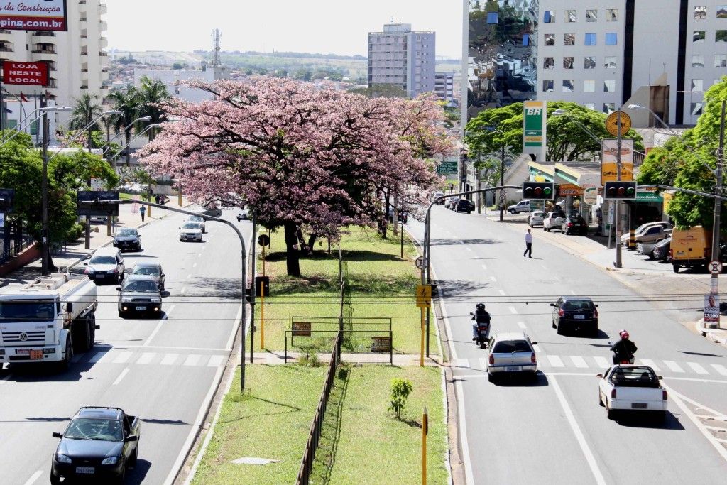 Evite atrasos: confira as interdições de vias em Bauru neste fim de semana