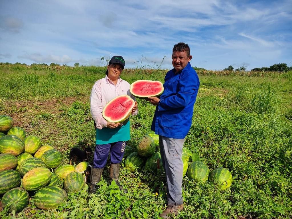 Um agricultor, buscando o aumento da produtivid