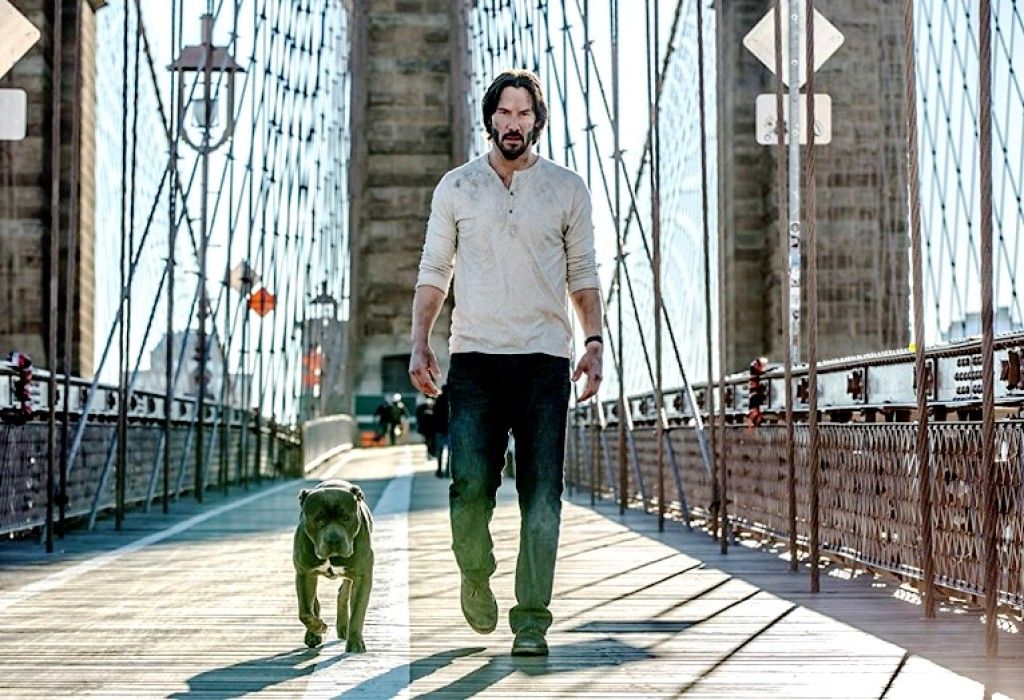 John Wick 2, Aliados e A Cura são as maiores estreias da semana