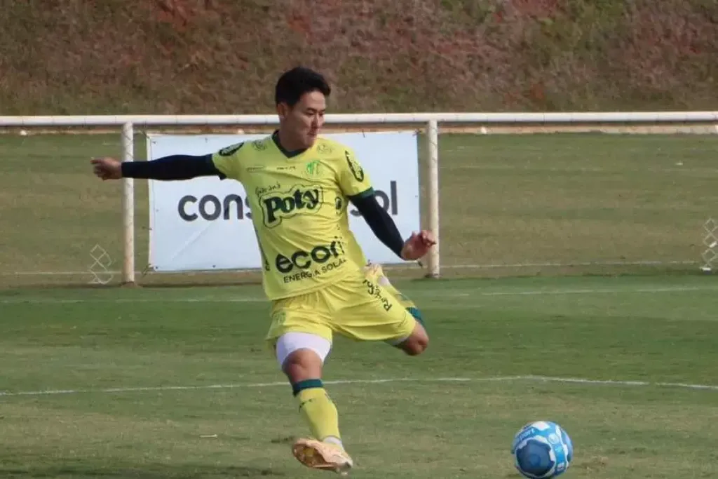 Com ingressos a partir de R$ 10, Botafogo inicia venda para o jogo contra o  Mirassol - Botafogo Futebol SA