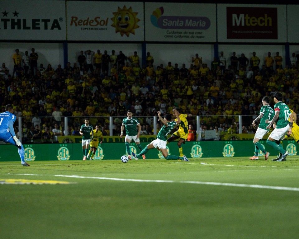 Mirassol vence o líder Palmeiras e celebra 100 anos com festa completa ...