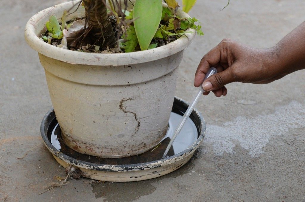 Mogi Mirim registra 154 casos de dengue e mantém queda em 2026