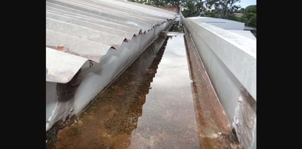 Mogi Mirim registra 154 casos de dengue e mantém queda em 2026