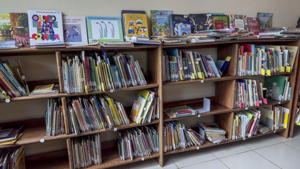 Biblioteca Francisco Meirelles arrecada livros infantis para doação
