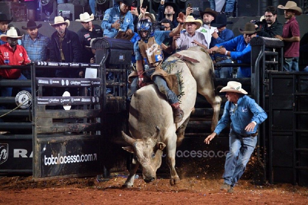 Peão de Congonhal é o grande campeão em montaria de touros no rodeio de  Barretos