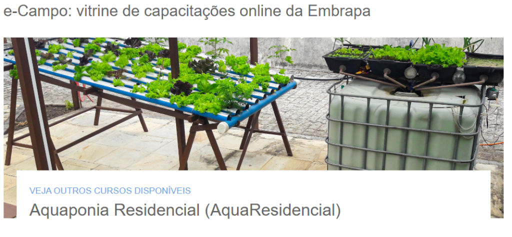 Alunas da Etec de Rio Preto desenvolvem sistema de aquaponia