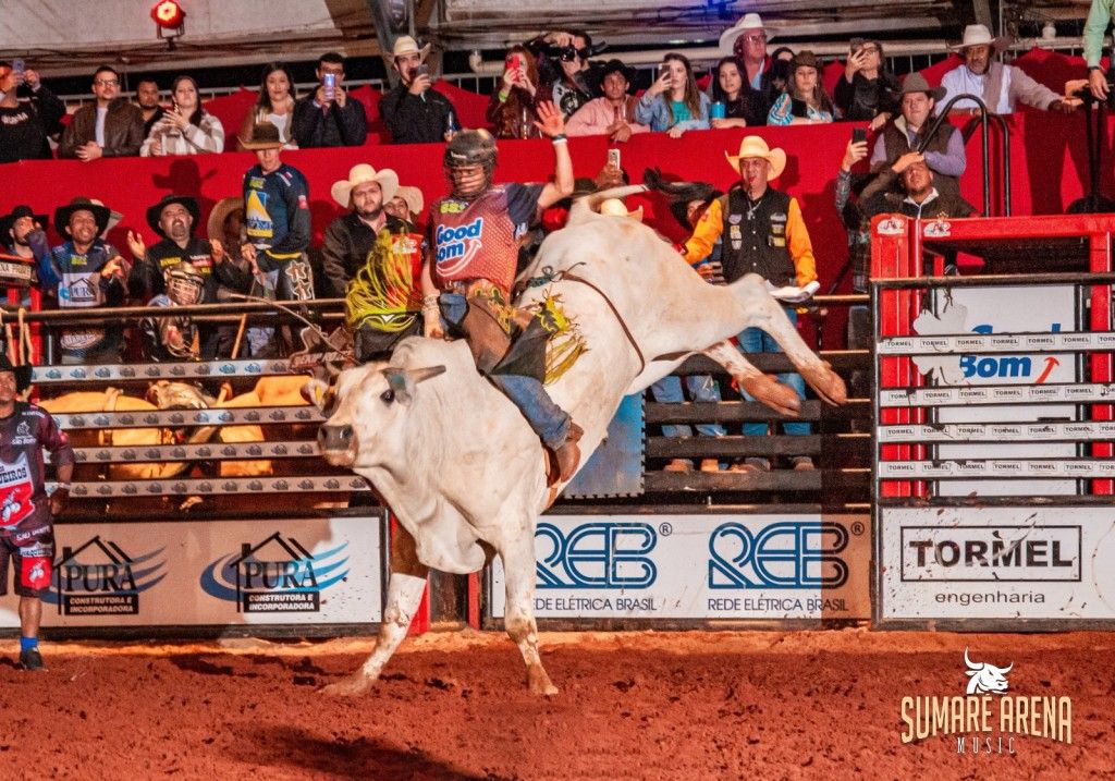 Arena de rodeio também é lugar de mulher - Notícias