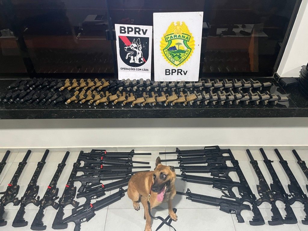 Polícia faz maior apreensão de armas do estado 