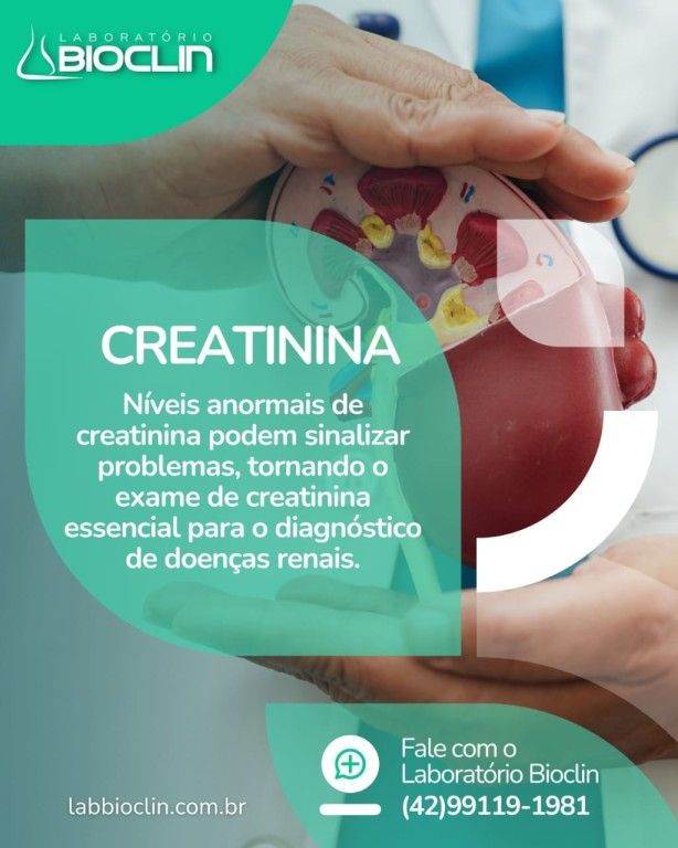 Creatinina: Sua saúde renal em foco!