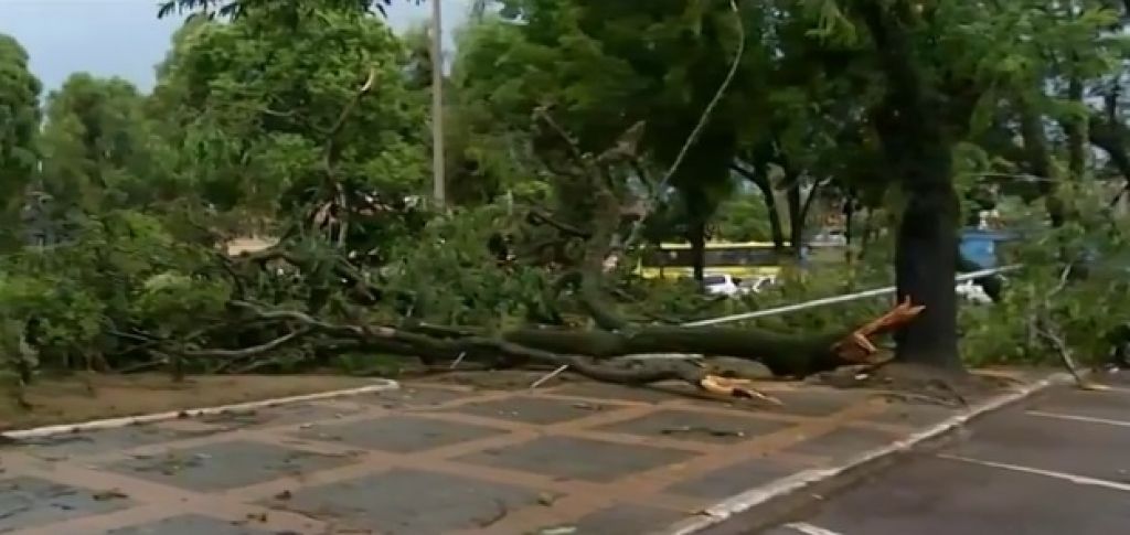 Chuva Forte Atinge Regi O Com Ruas Alagadas E Queda De Rvores